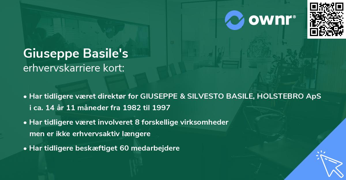 Giuseppe Basile's erhvervskarriere kort