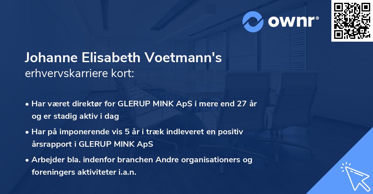 Johanne Elisabeth Voetmann's erhvervskarriere kort