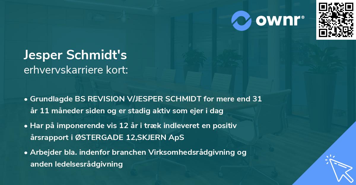 Jesper Schmidt's erhvervskarriere kort