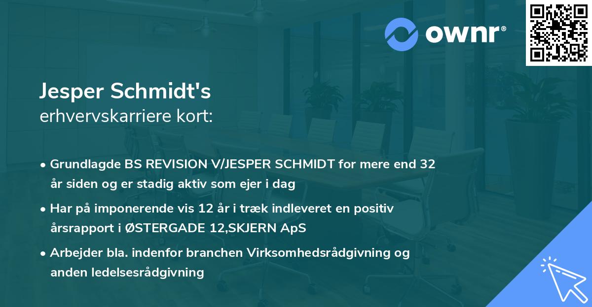 Jesper Schmidt's erhvervskarriere kort