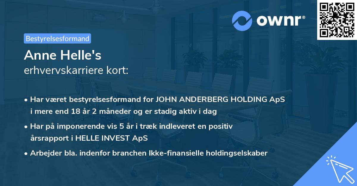 Anne Helle's erhvervskarriere kort
