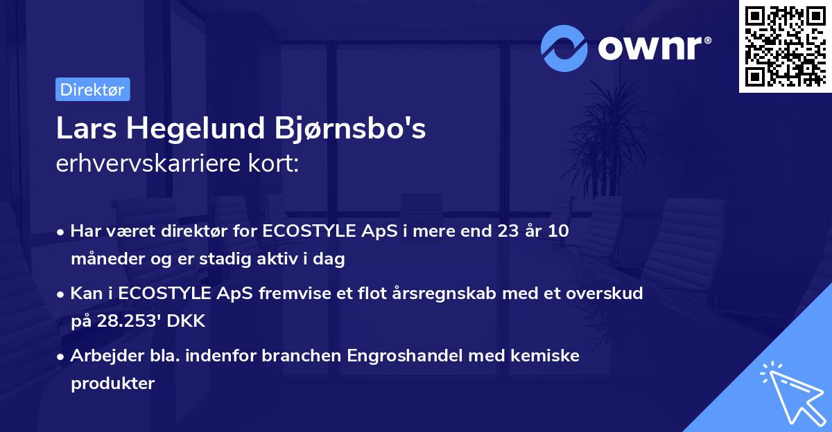 Lars Hegelund Bjørnsbo's erhvervskarriere kort