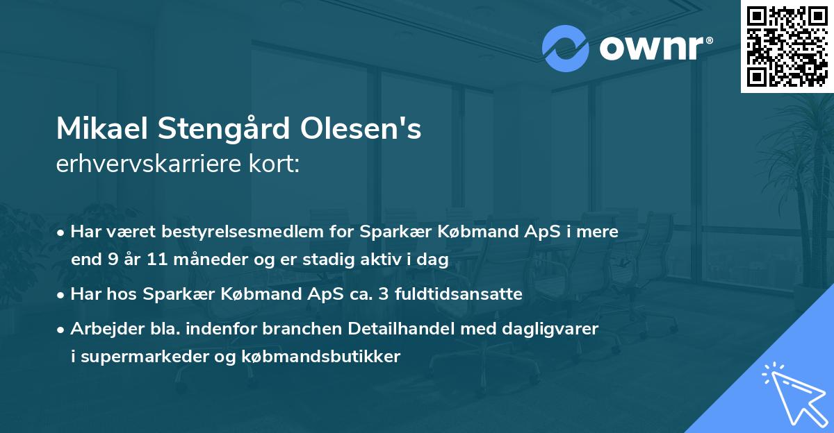 Mikael Stengård Olesen's erhvervskarriere kort
