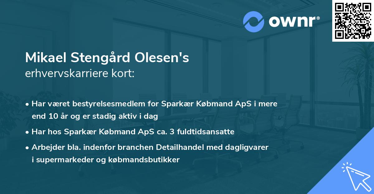 Mikael Stengård Olesen's erhvervskarriere kort