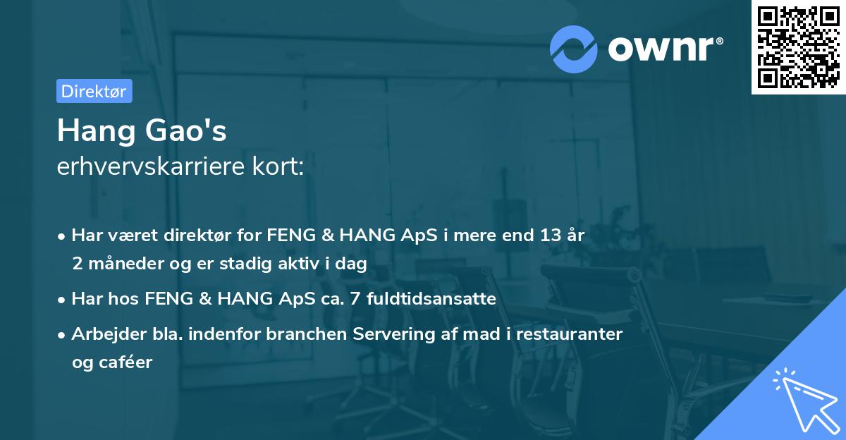 Hang Gao's erhvervskarriere kort