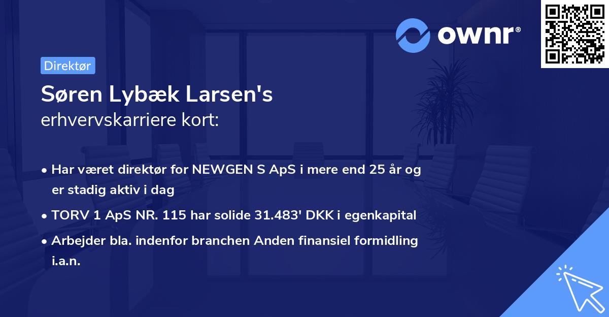 Søren Lybæk Larsen's erhvervskarriere kort