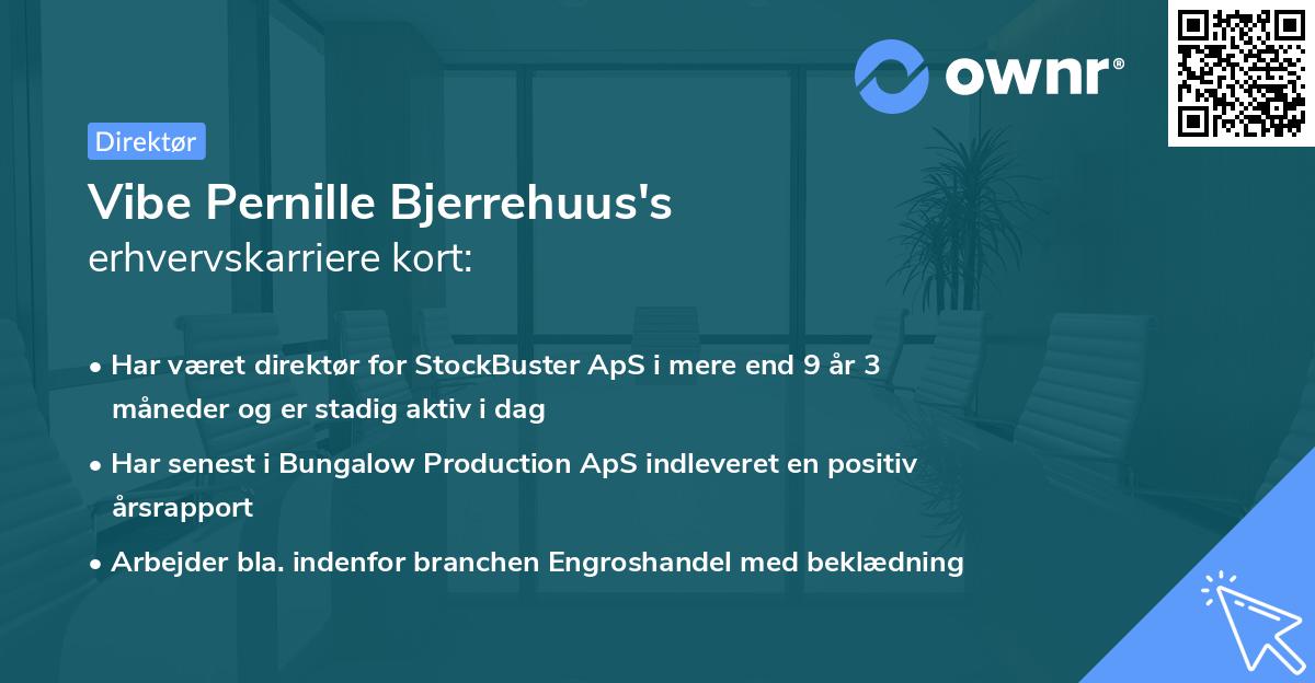 Vibe Pernille Bjerrehuus's erhvervskarriere kort