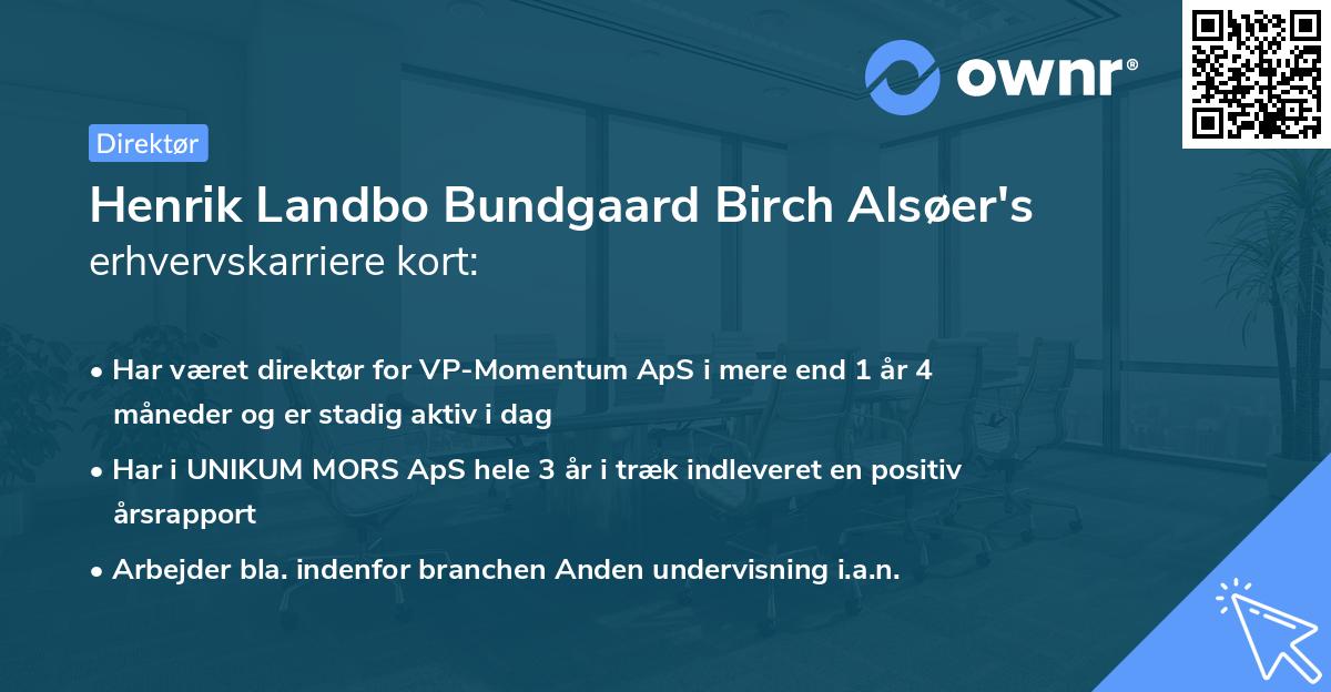 Henrik Landbo Bundgaard Birch Alsøer's erhvervskarriere kort