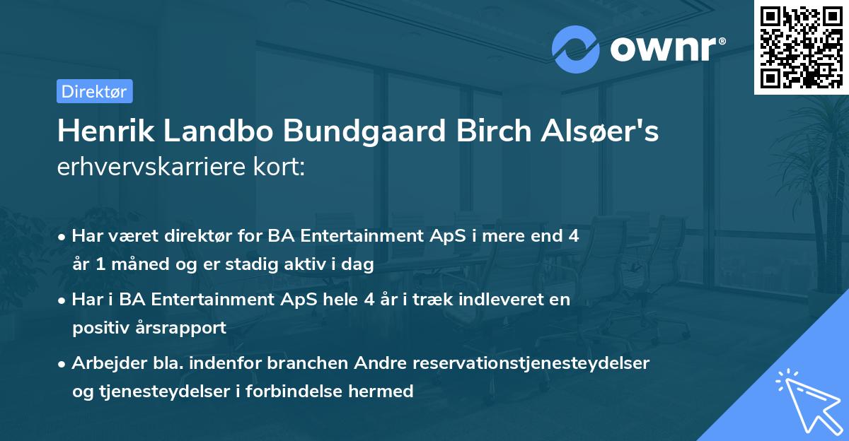 Henrik Landbo Bundgaard Birch Alsøer's erhvervskarriere kort