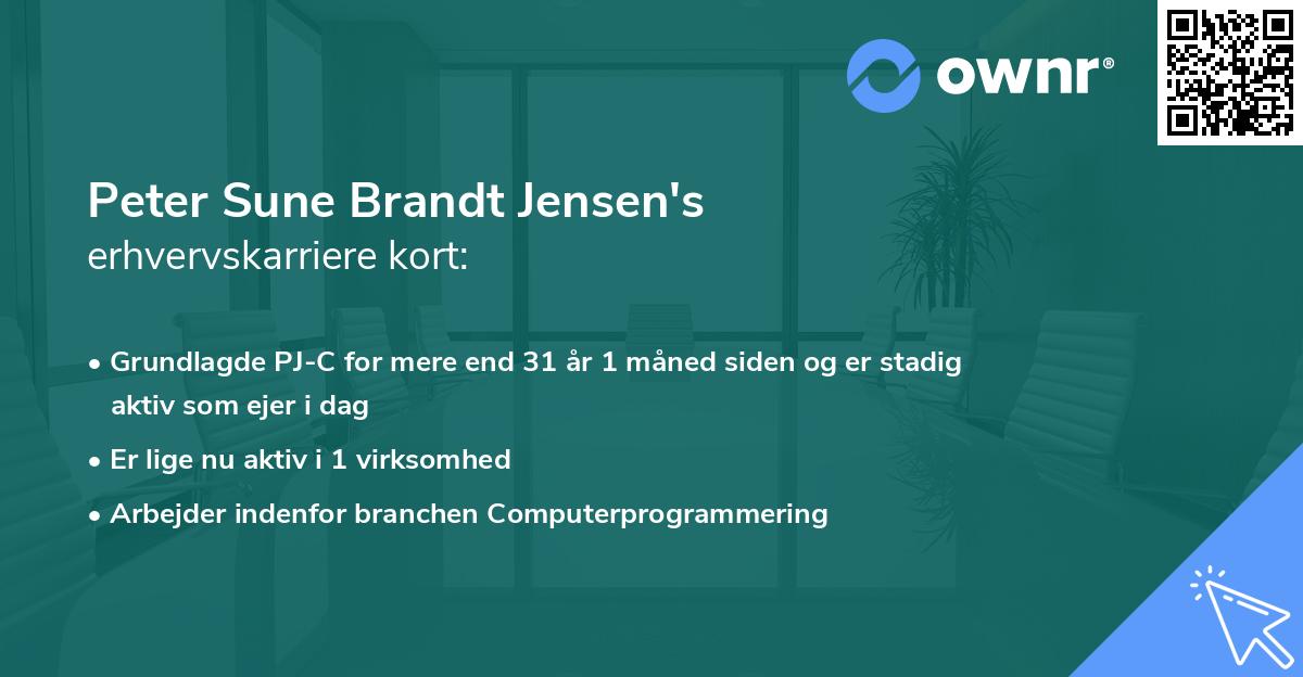Peter Sune Brandt Jensen's erhvervskarriere kort