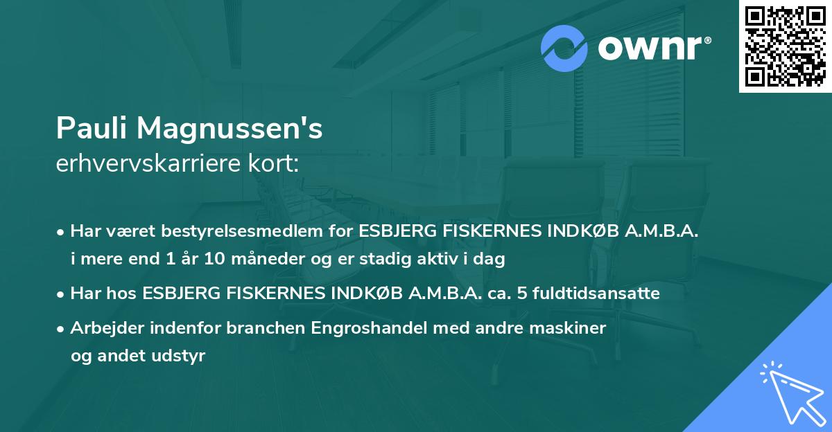 Pauli Magnussen's erhvervskarriere kort