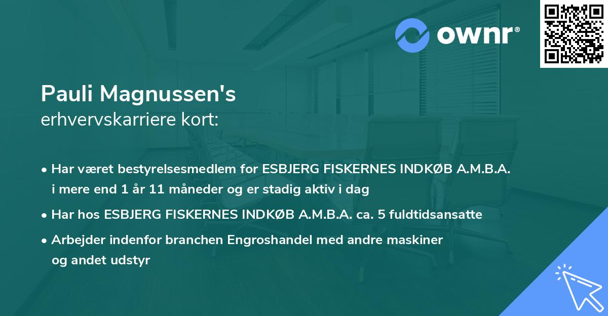 Pauli Magnussen's erhvervskarriere kort