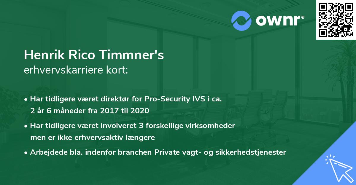 Henrik Rico Timmner's erhvervskarriere kort