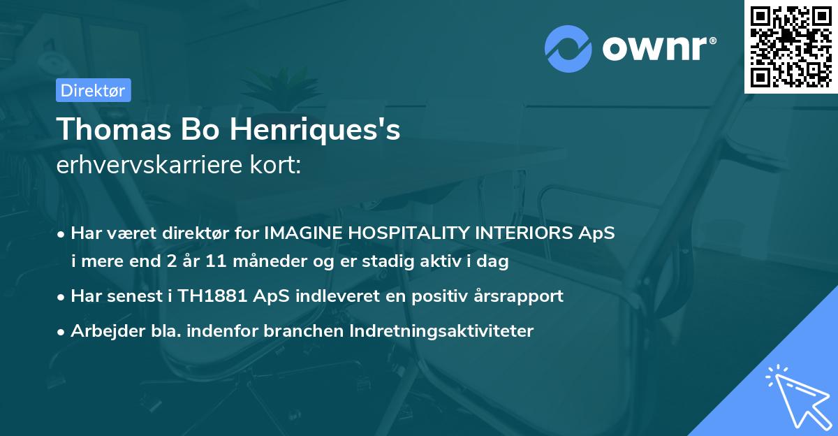 Thomas Bo Henriques's erhvervskarriere kort