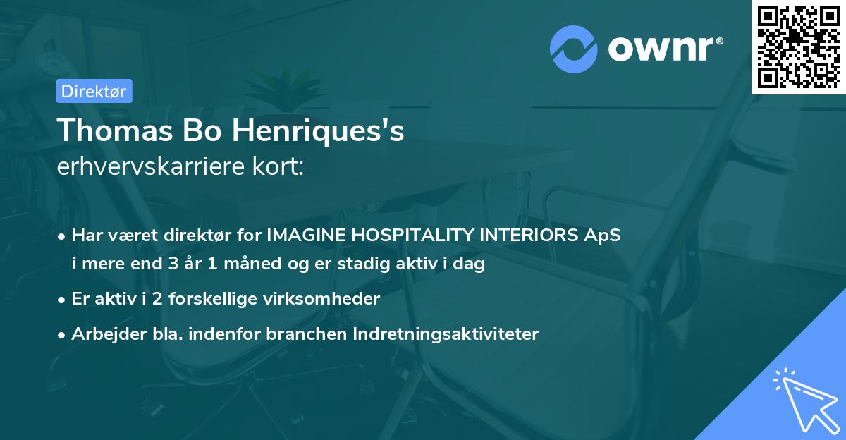 Thomas Bo Henriques's erhvervskarriere kort