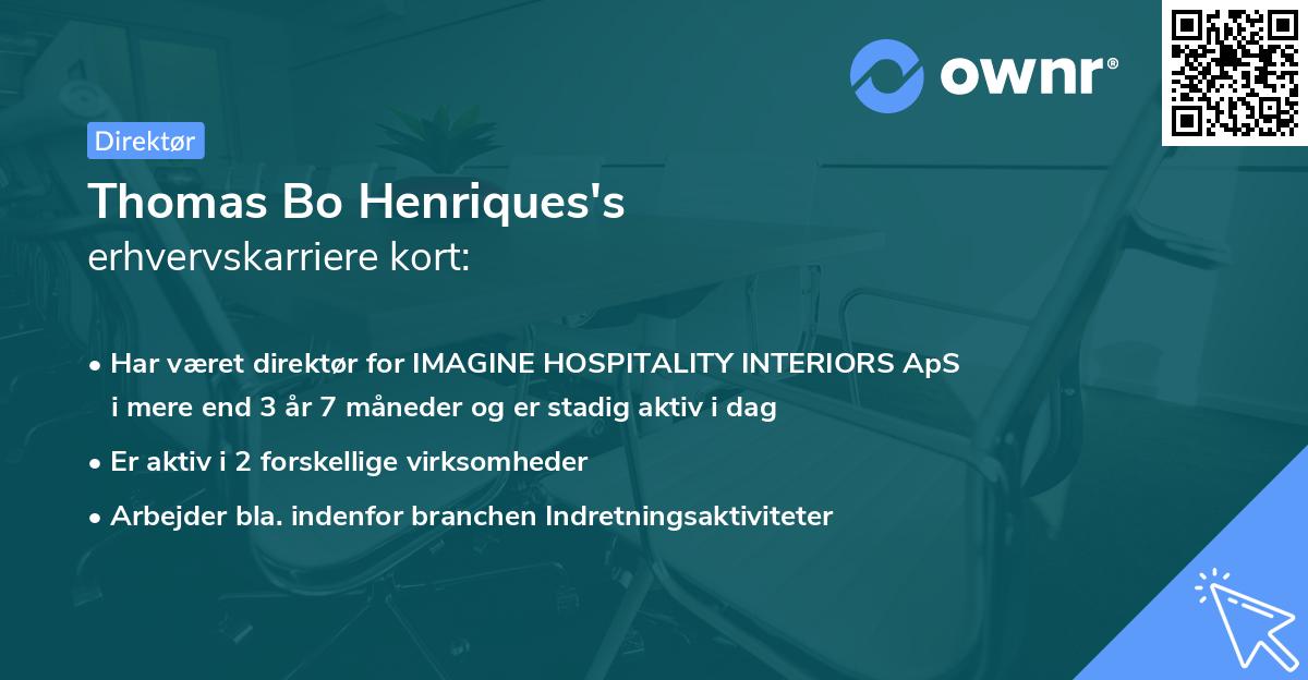 Thomas Bo Henriques's erhvervskarriere kort