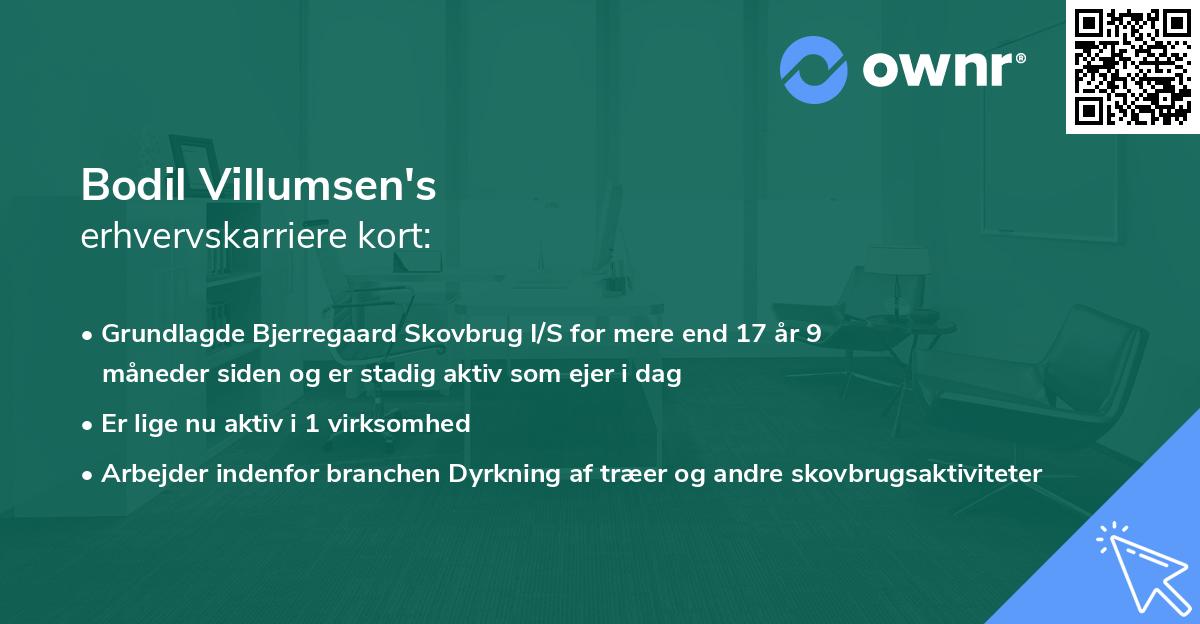 Bodil Villumsen's erhvervskarriere kort