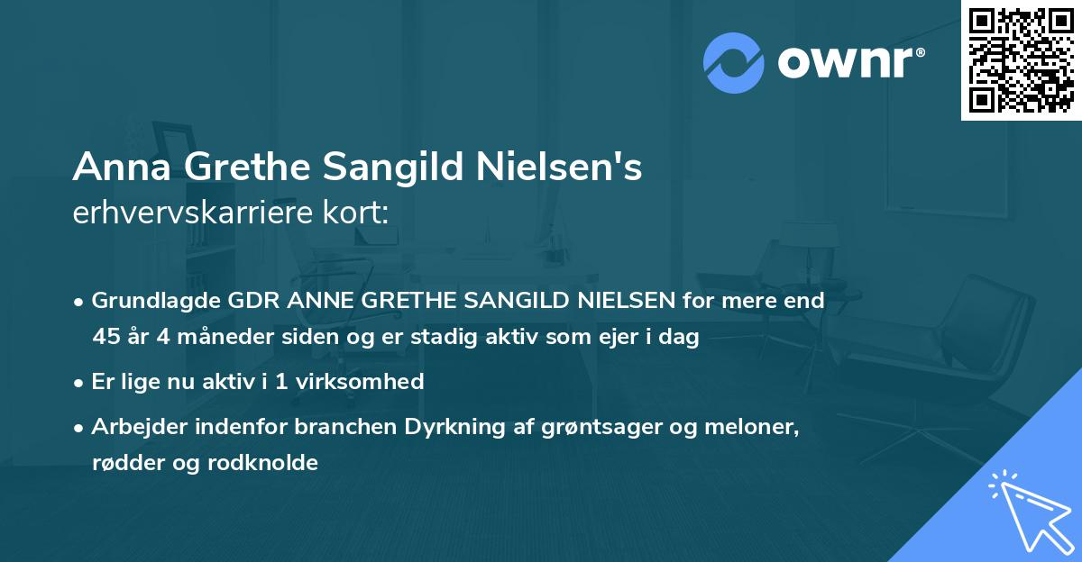 Anna Grethe Sangild Nielsen's erhvervskarriere kort