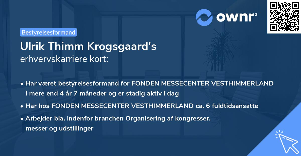 Ulrik Thimm Krogsgaard's erhvervskarriere kort