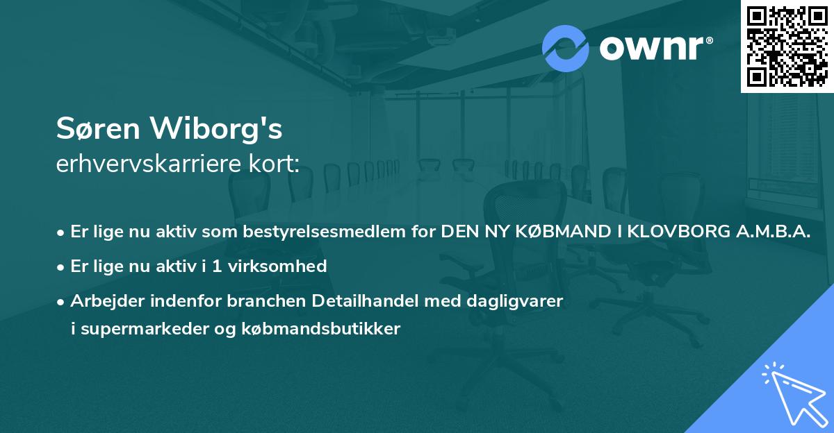 Søren Wiborg's erhvervskarriere kort