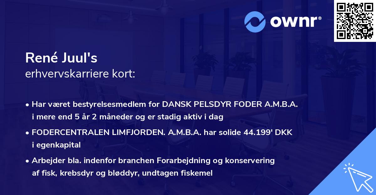 René Juul's erhvervskarriere kort