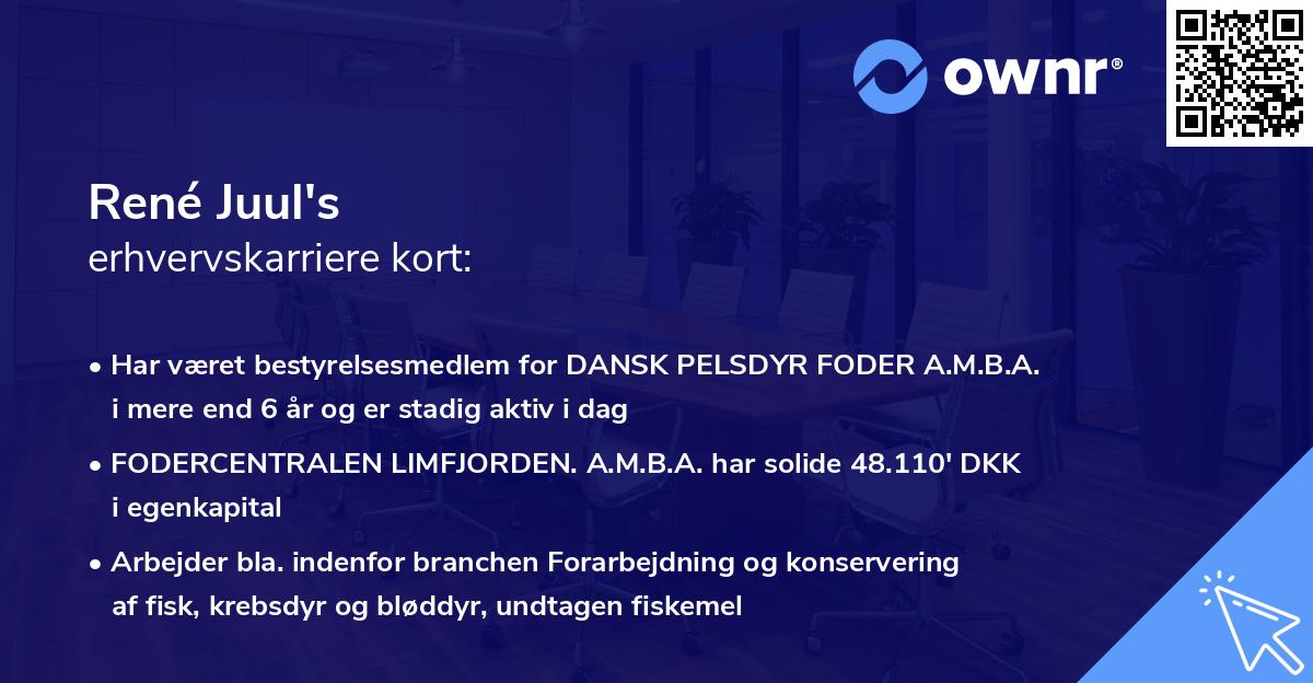 René Juul's erhvervskarriere kort