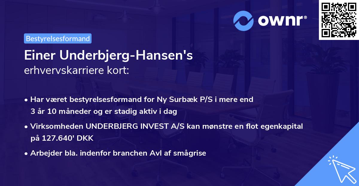 Einer Underbjerg-Hansen's erhvervskarriere kort