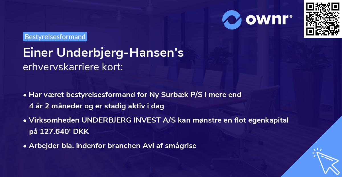 Einer Underbjerg-Hansen's erhvervskarriere kort
