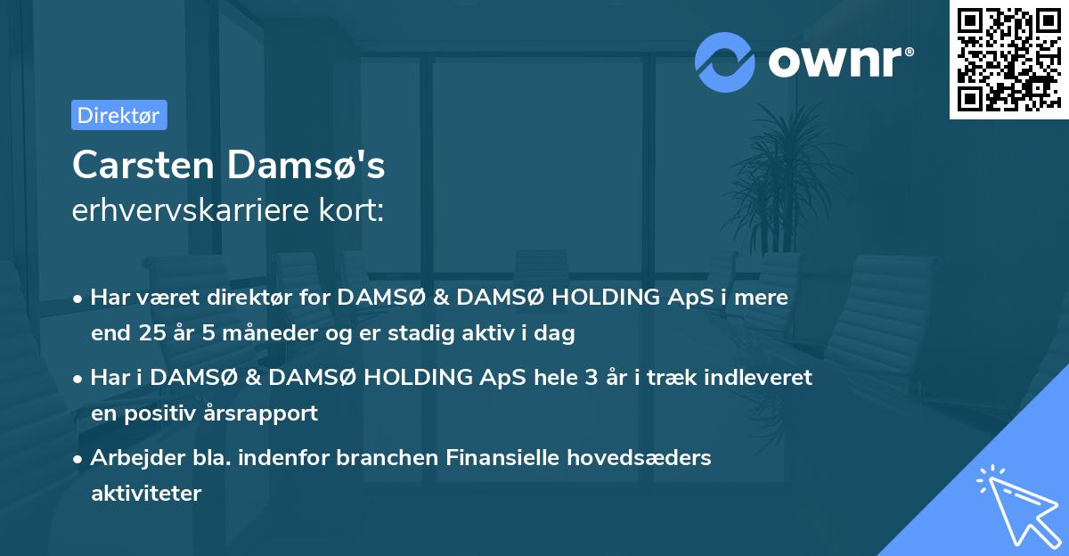 Carsten Damsø's erhvervskarriere kort