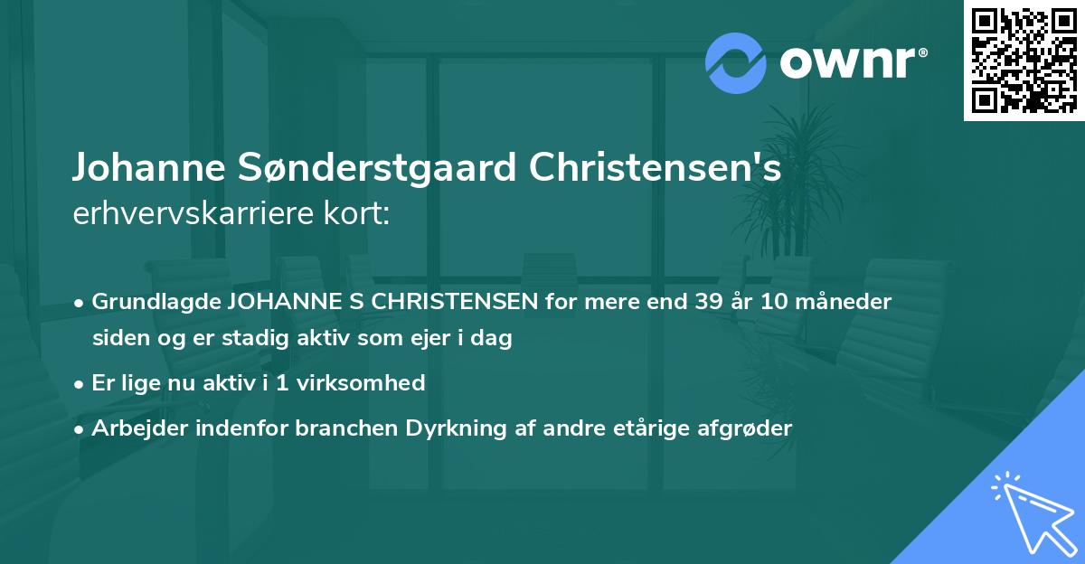 Johanne Sønderstgaard Christensen's erhvervskarriere kort