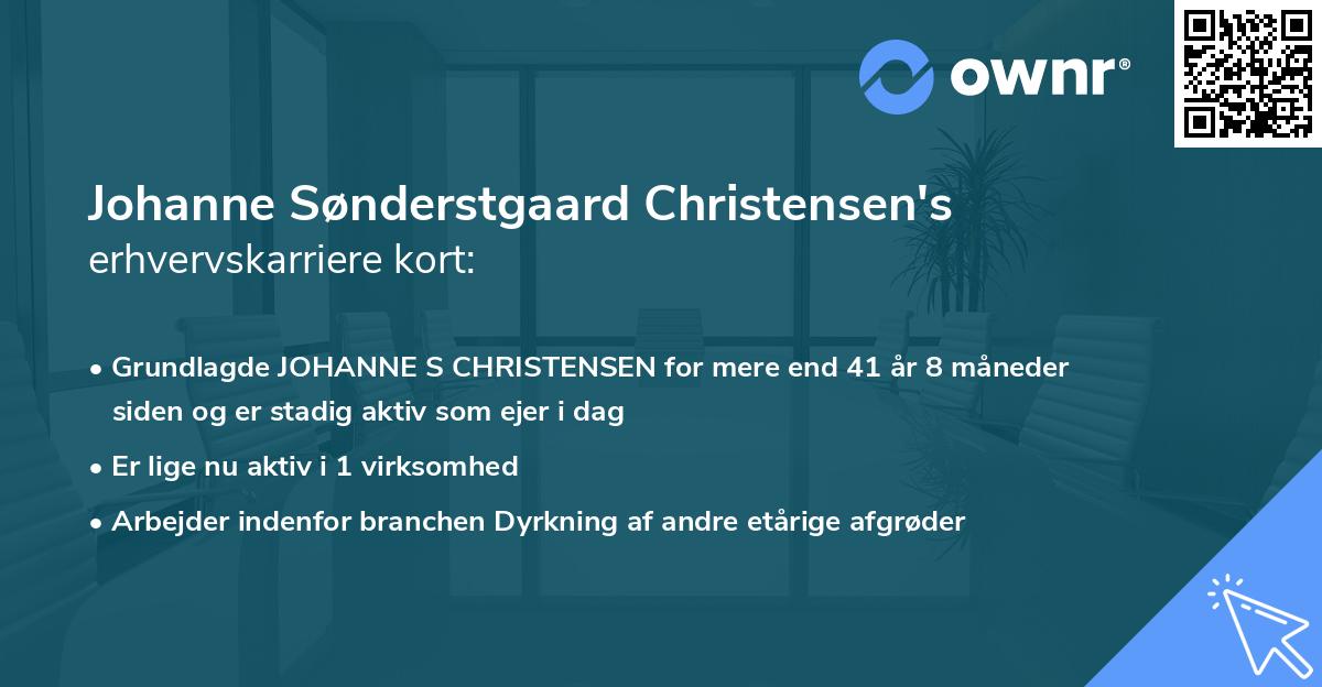 Johanne Sønderstgaard Christensen's erhvervskarriere kort