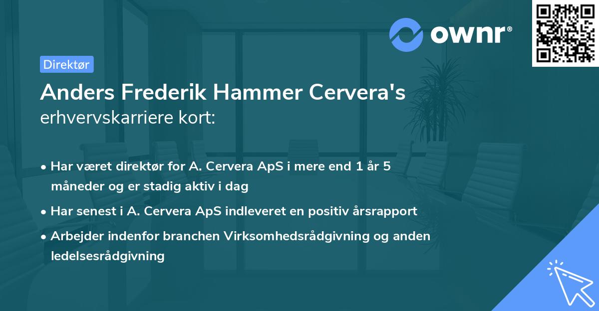 Anders Frederik Hammer Cervera's erhvervskarriere kort