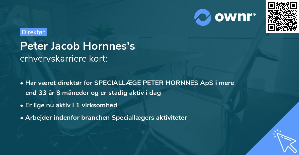 Peter Jacob Hornnes's erhvervskarriere kort