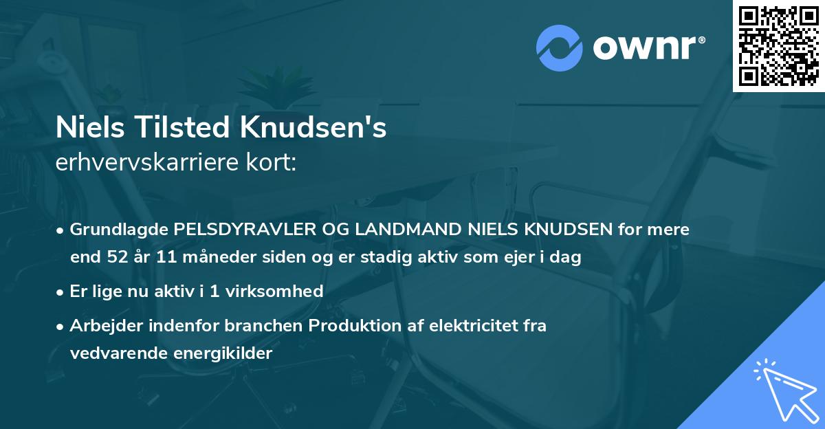 Niels Tilsted Knudsen's erhvervskarriere kort