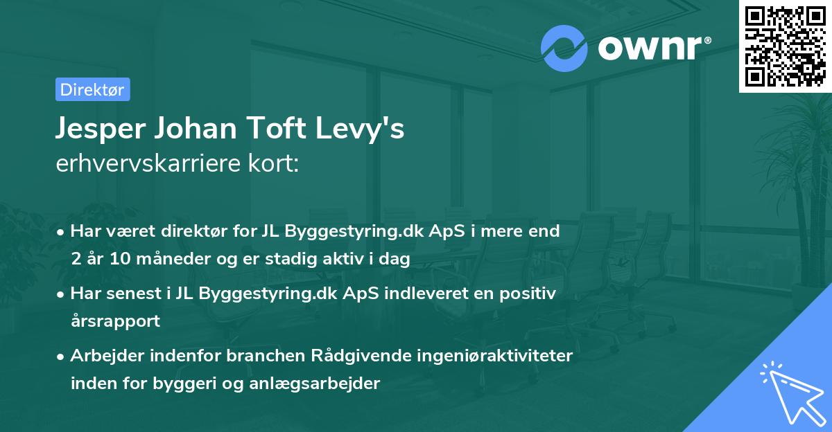 Jesper Johan Toft Levy's erhvervskarriere kort
