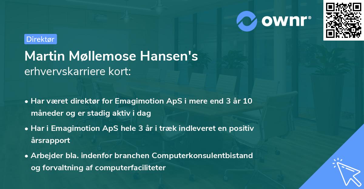 Martin Møllemose Hansen's erhvervskarriere kort