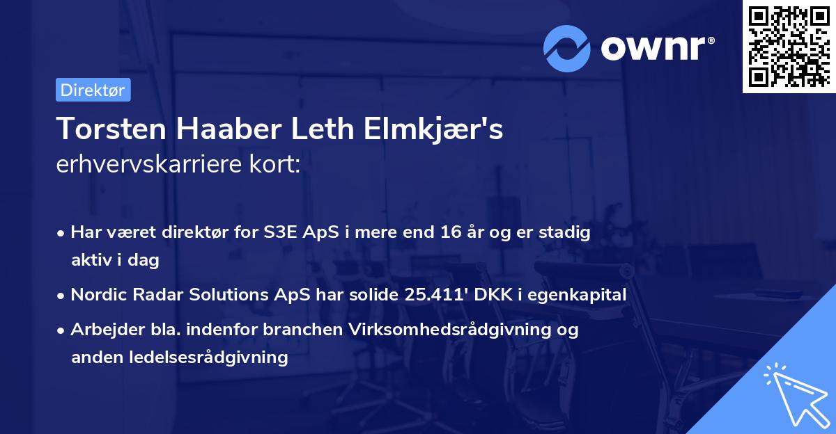 Torsten Haaber Leth Elmkjær's erhvervskarriere kort