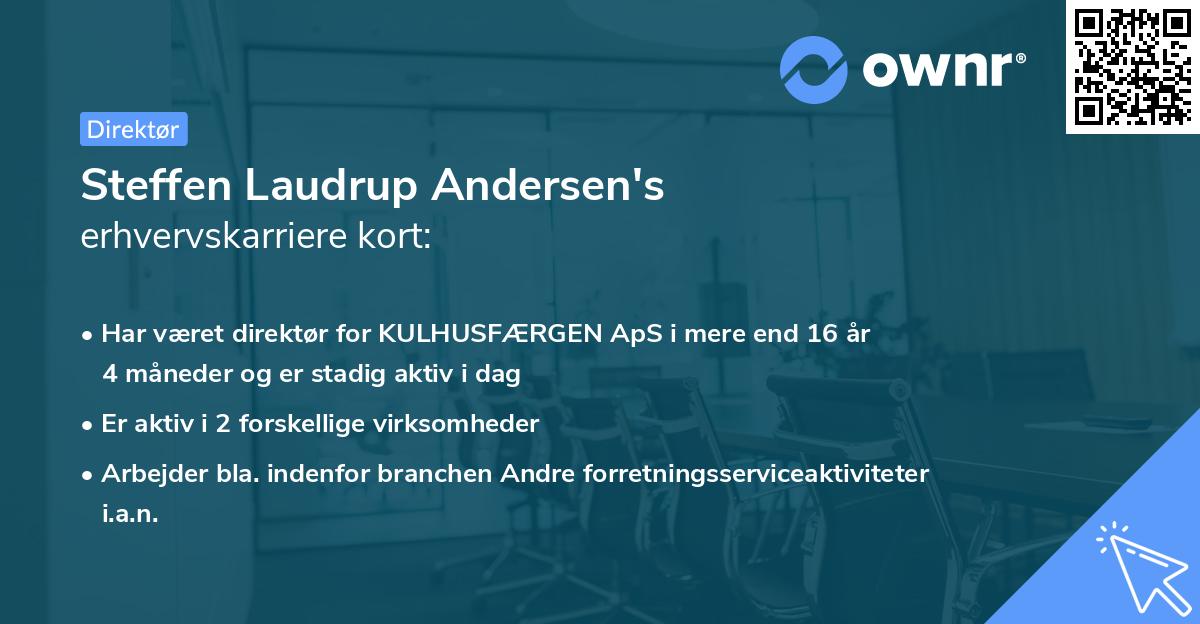 Steffen Laudrup Andersen's erhvervskarriere kort