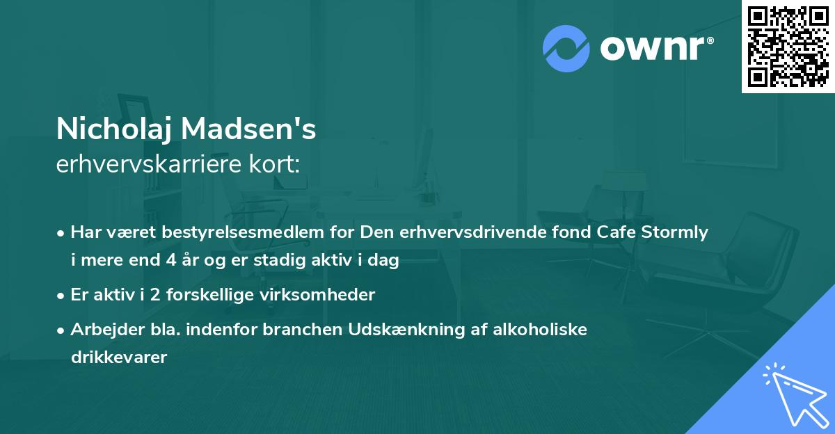 Nicholaj Madsen's erhvervskarriere kort