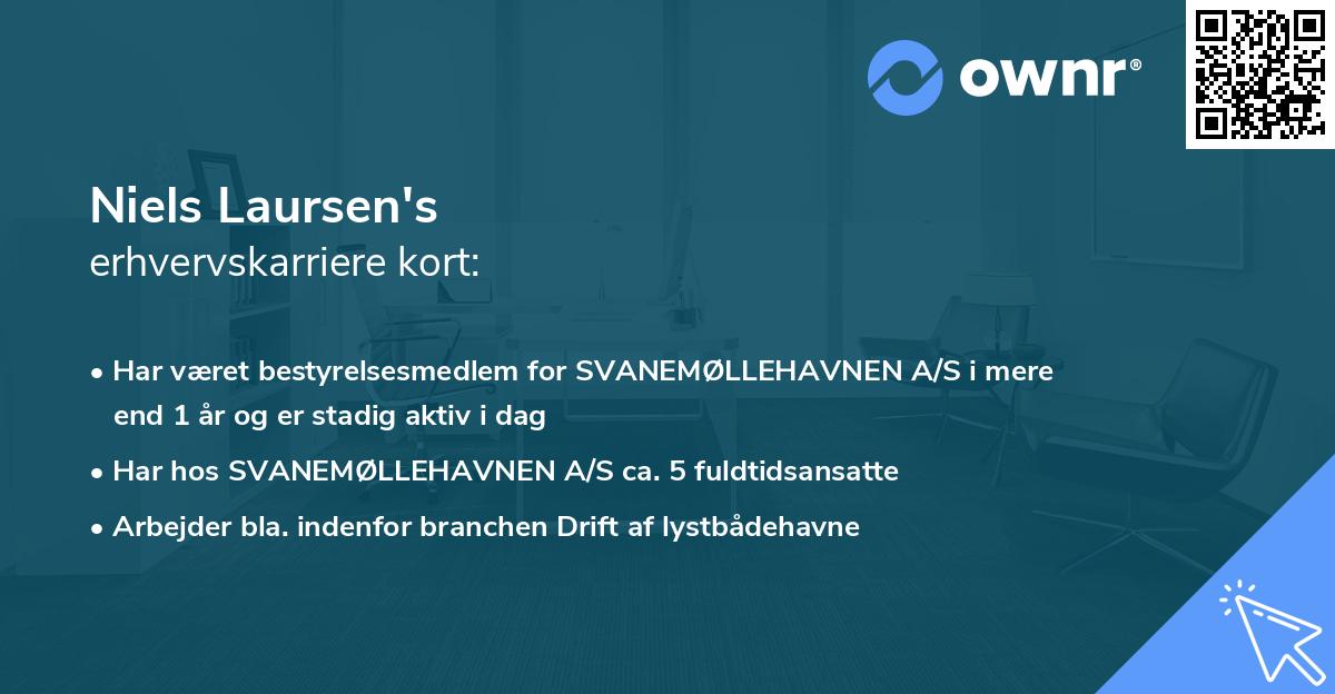 Niels Laursen's erhvervskarriere kort