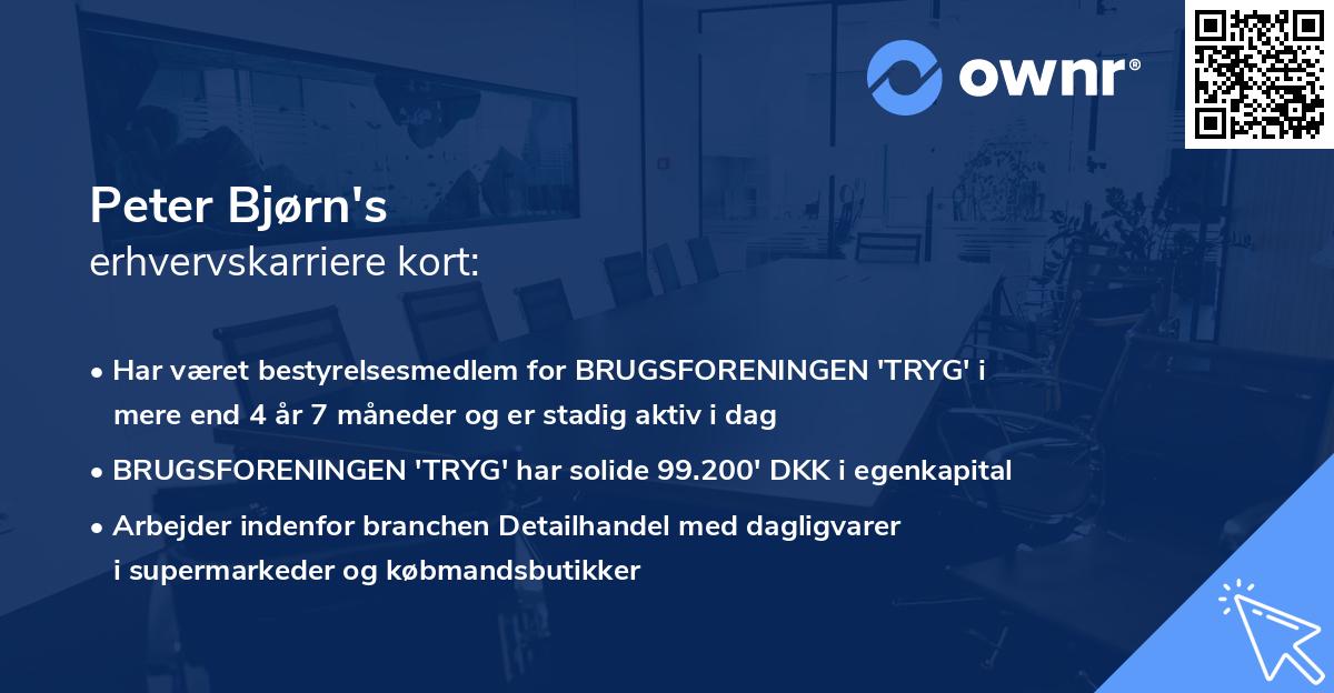 Peter Bjørn's erhvervskarriere kort