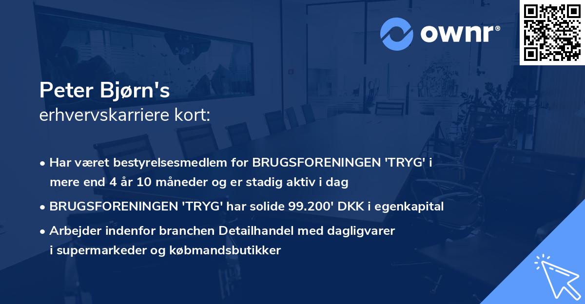 Peter Bjørn's erhvervskarriere kort