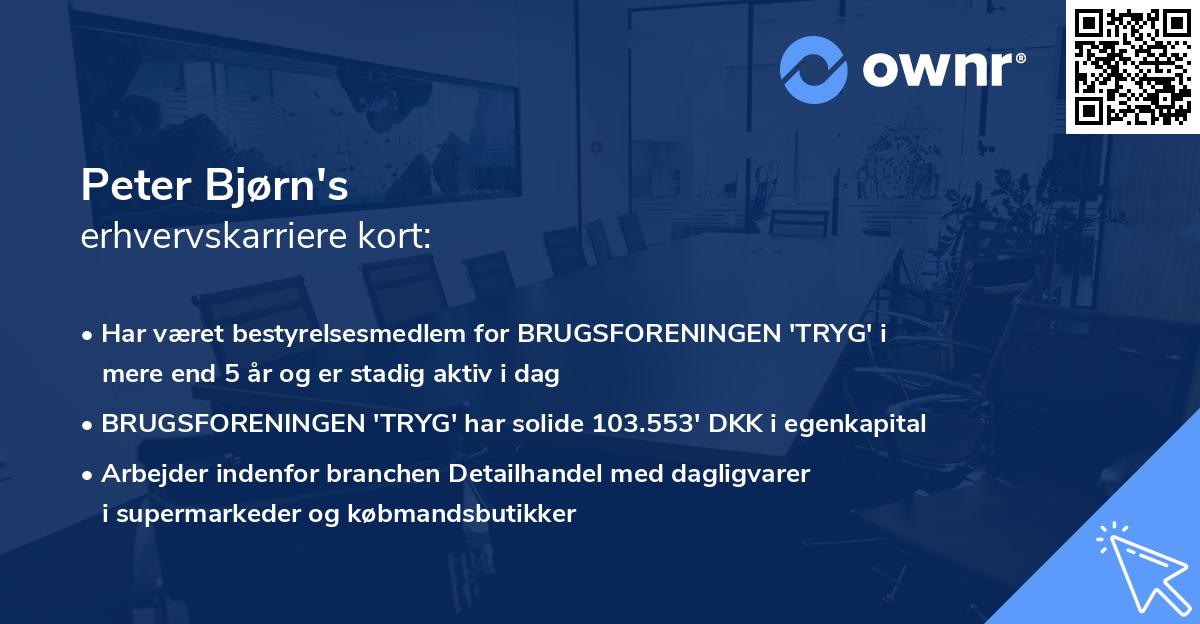 Peter Bjørn's erhvervskarriere kort