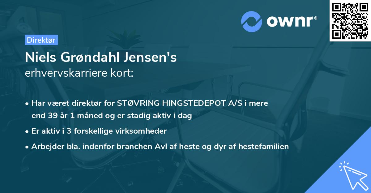 Niels Grøndahl Jensen's erhvervskarriere kort
