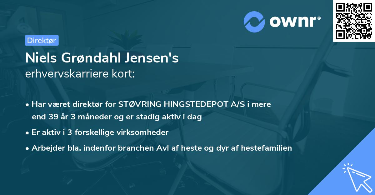 Niels Grøndahl Jensen's erhvervskarriere kort