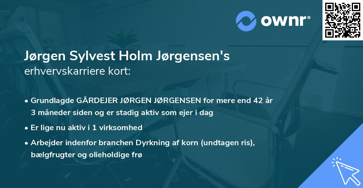 Jørgen Sylvest Holm Jørgensen's erhvervskarriere kort