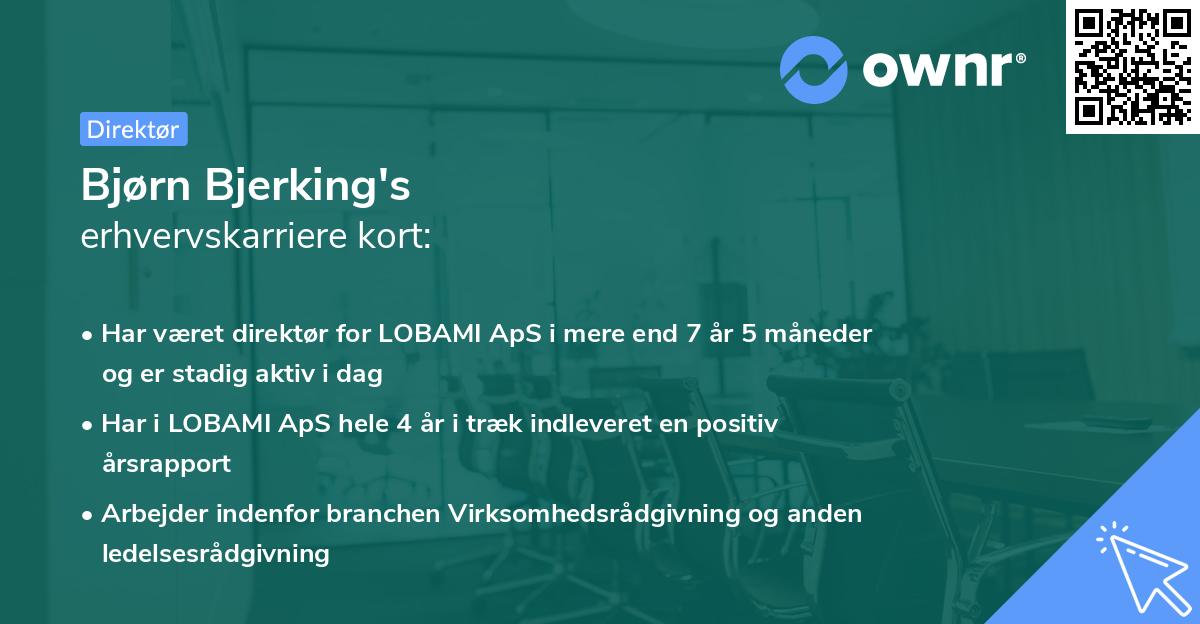 Bjørn Bjerking's erhvervskarriere kort