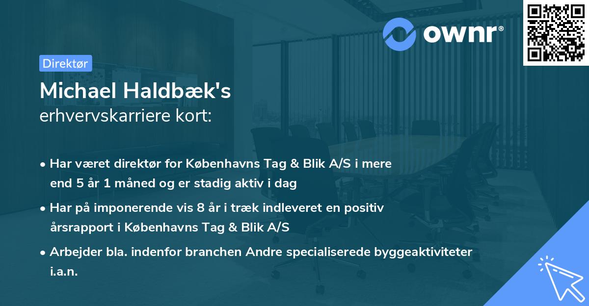 Michael Haldbæk's erhvervskarriere kort
