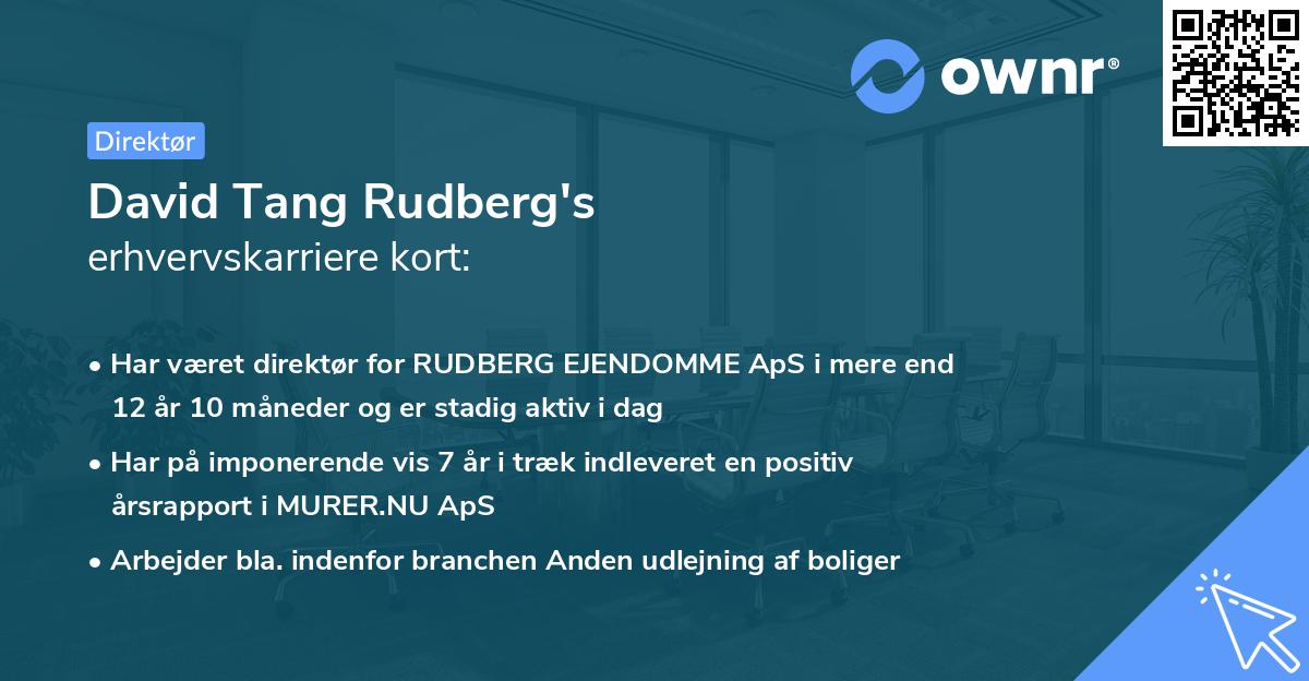 David Tang Rudberg's erhvervskarriere kort