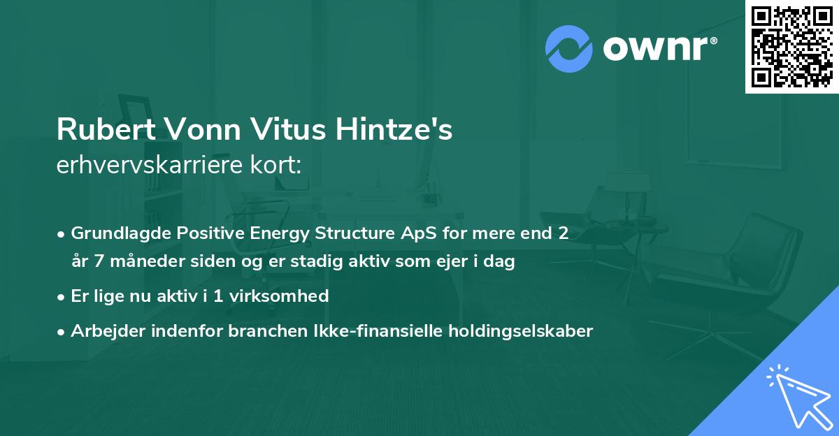 Rubert Vonn Vitus Hintze's erhvervskarriere kort